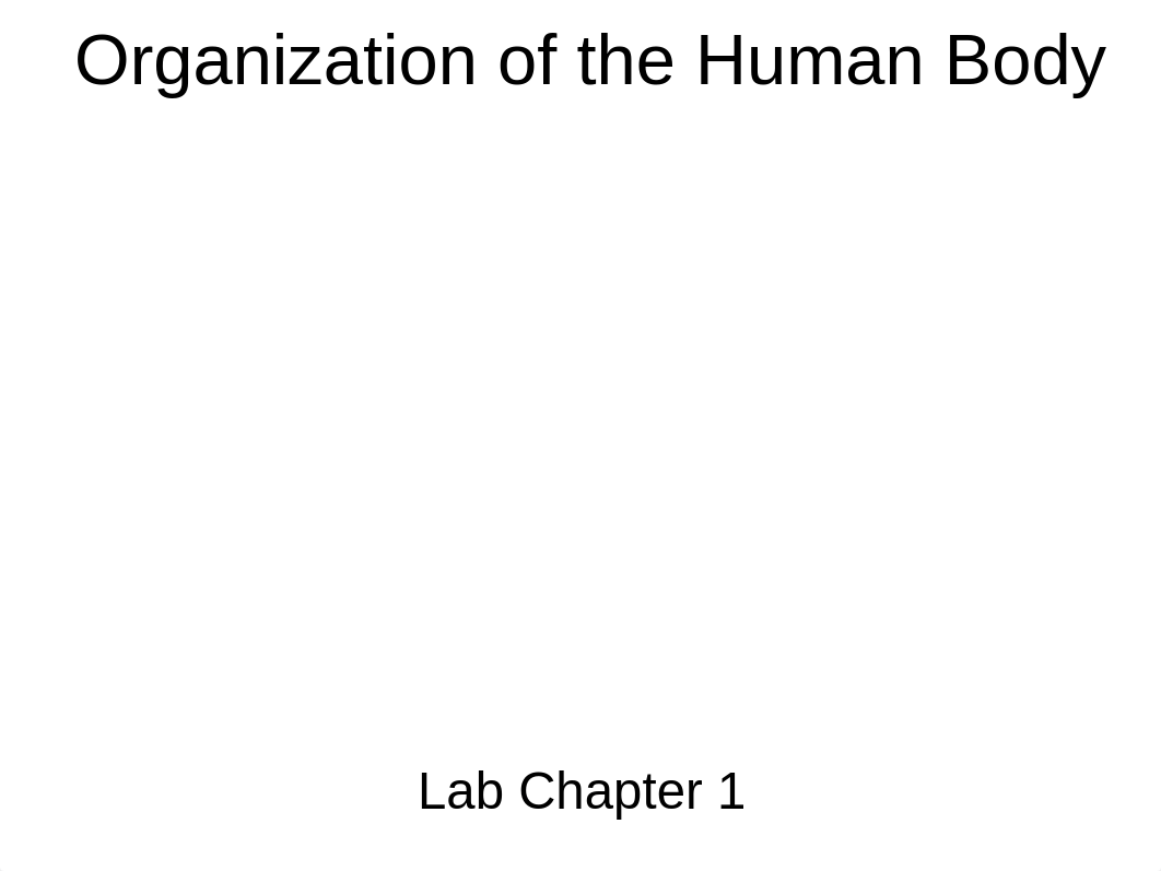 Lab Ch 1 Organization Human Body_d5n4ns2qnrl_page1