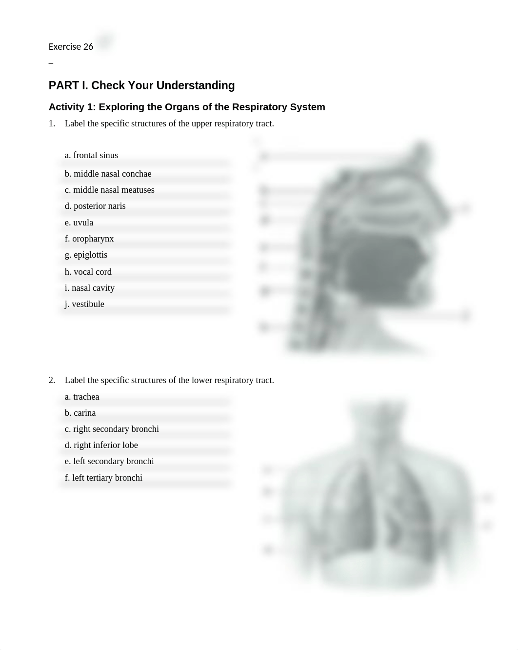 12. Unit 12 laboratory exercise 26 FINAL_d5nc6fz6y8n_page1