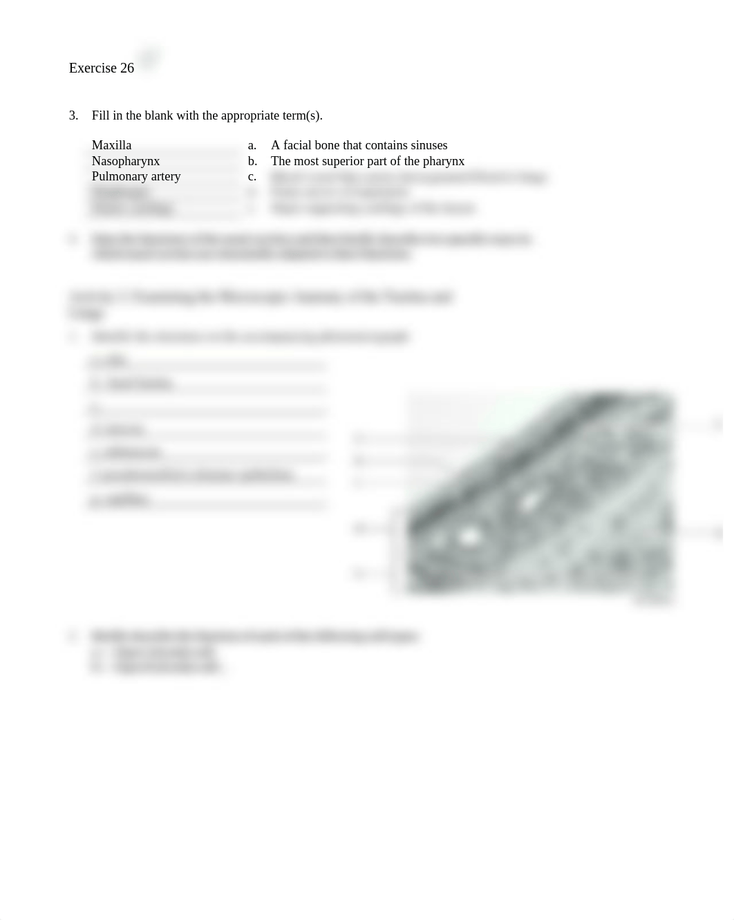 12. Unit 12 laboratory exercise 26 FINAL_d5nc6fz6y8n_page2