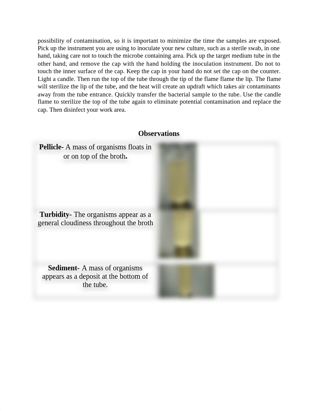 Lab 6 micro_d5nj3qiuggg_page2