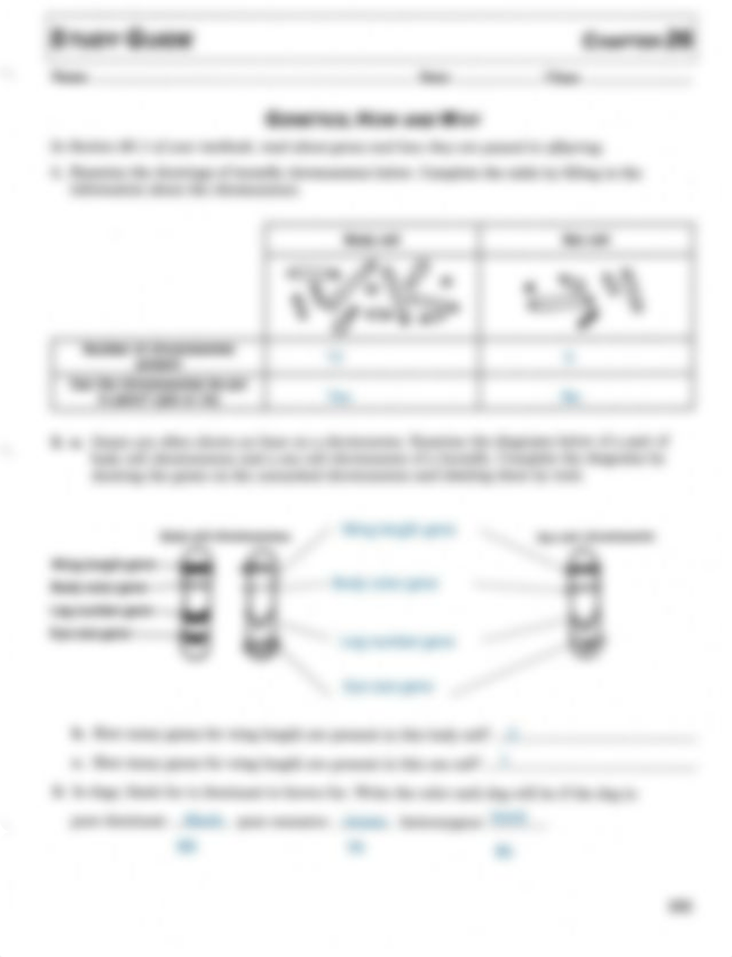 Kami Export - Vanessa Vasquez - Genetics Study Guide Merrill.pdf_d5noe7jmill_page1