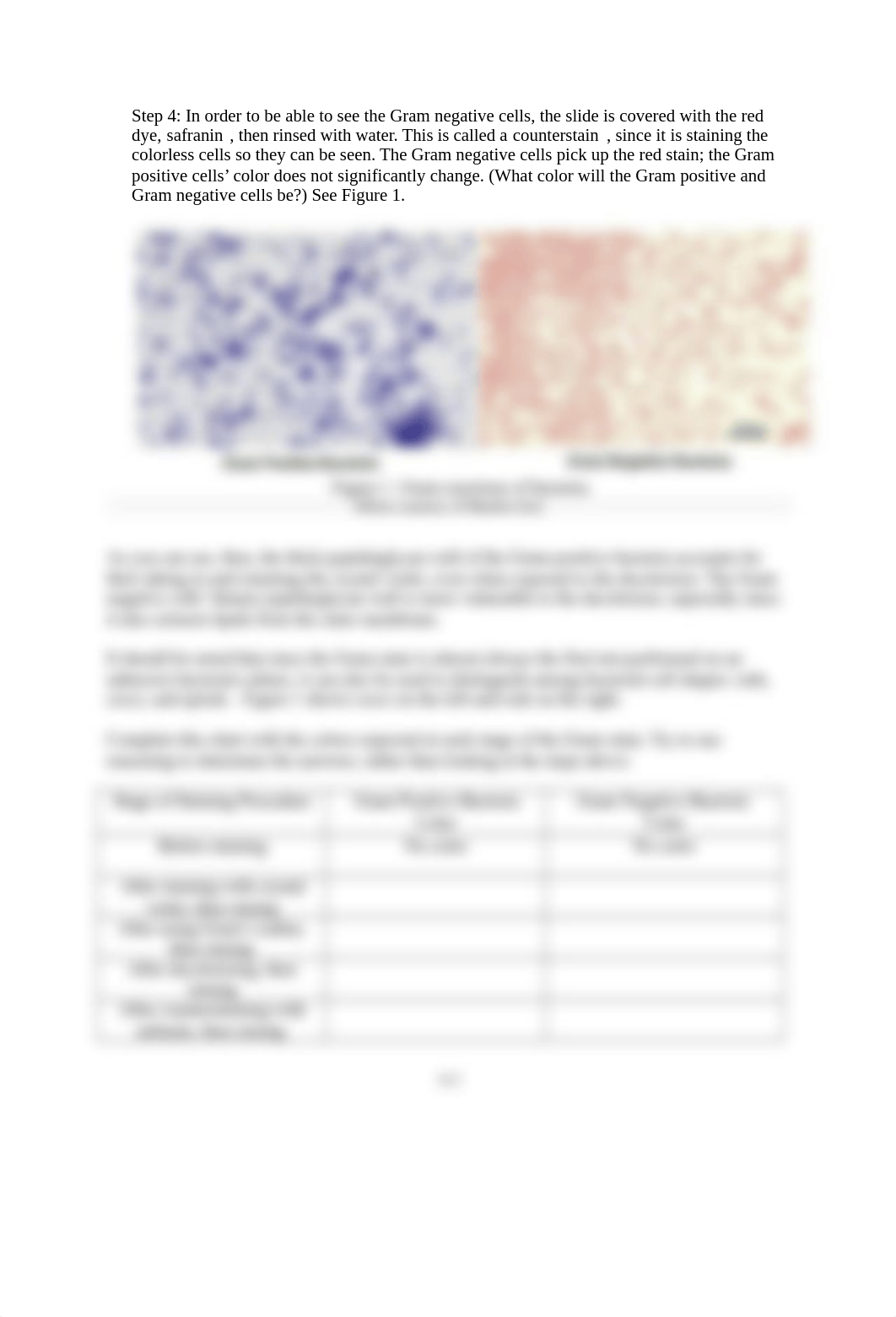 Exercise - Gram Stain.docx_d5nsu9pi8z9_page2