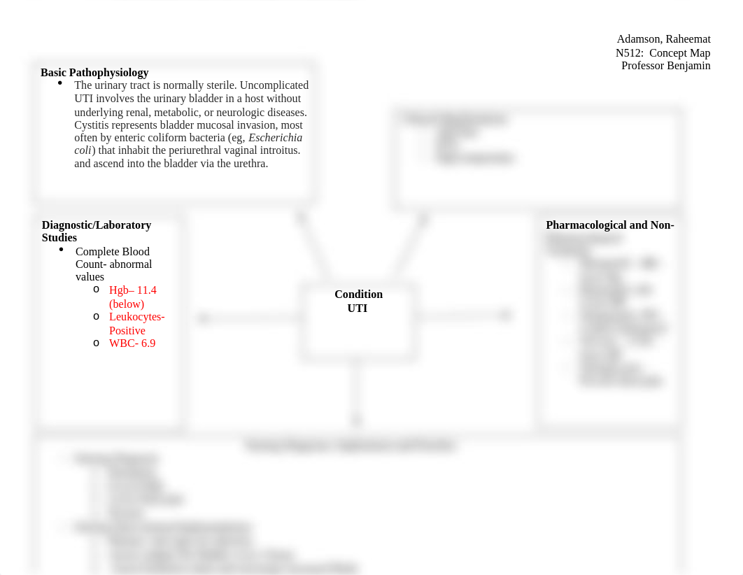 Concept Map UTI.docx_d5nw9thxwv3_page1