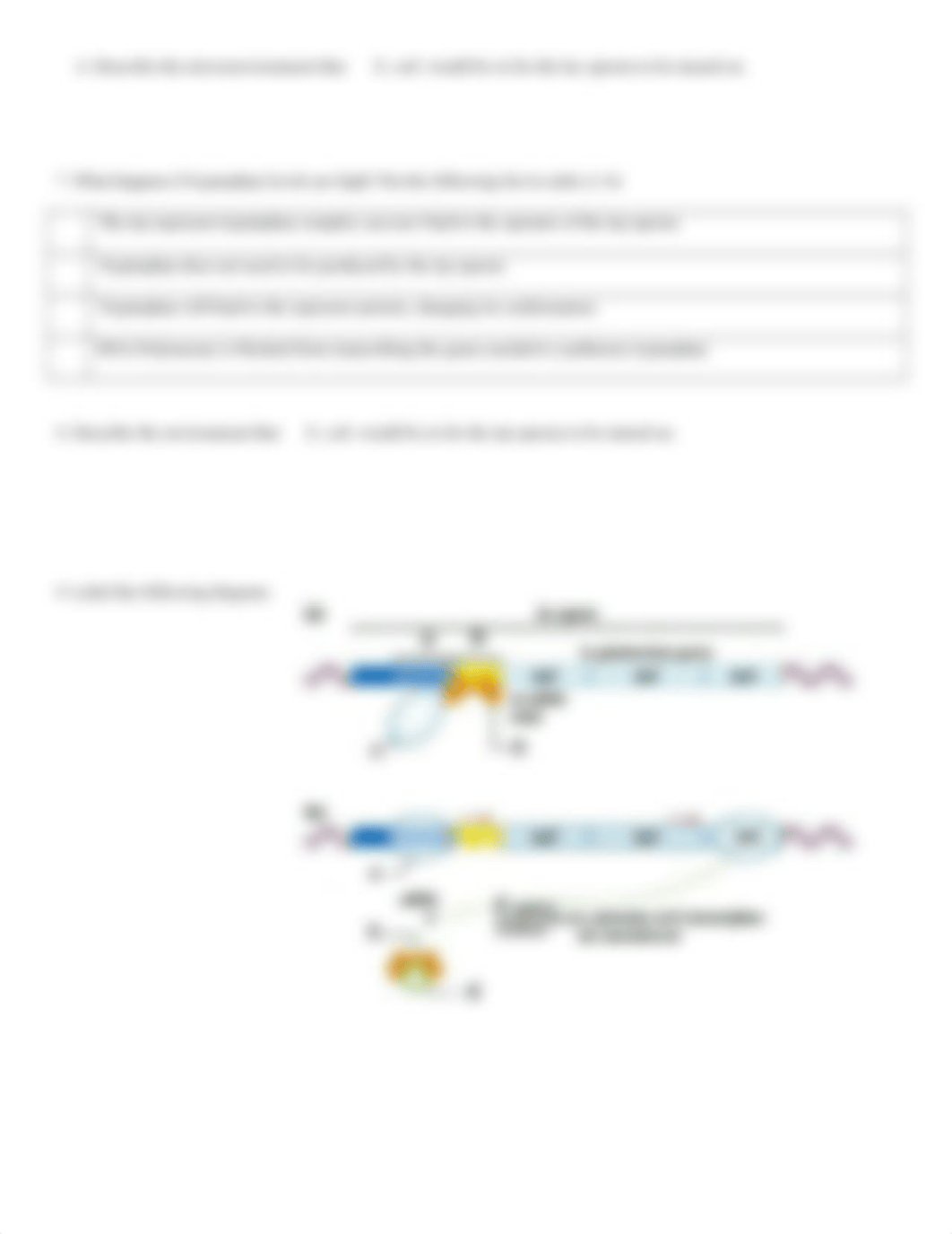 OPeron Worksheet.docx_d5nx1kdp6wa_page2