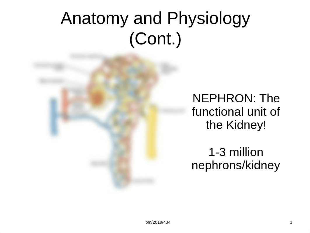 2019 Acute Kidney Injury.ppt_d5ny9dyol09_page3