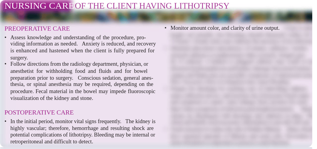 prenhall care plan pt having lithotripsy.pdf_d5o0vb2od6d_page1