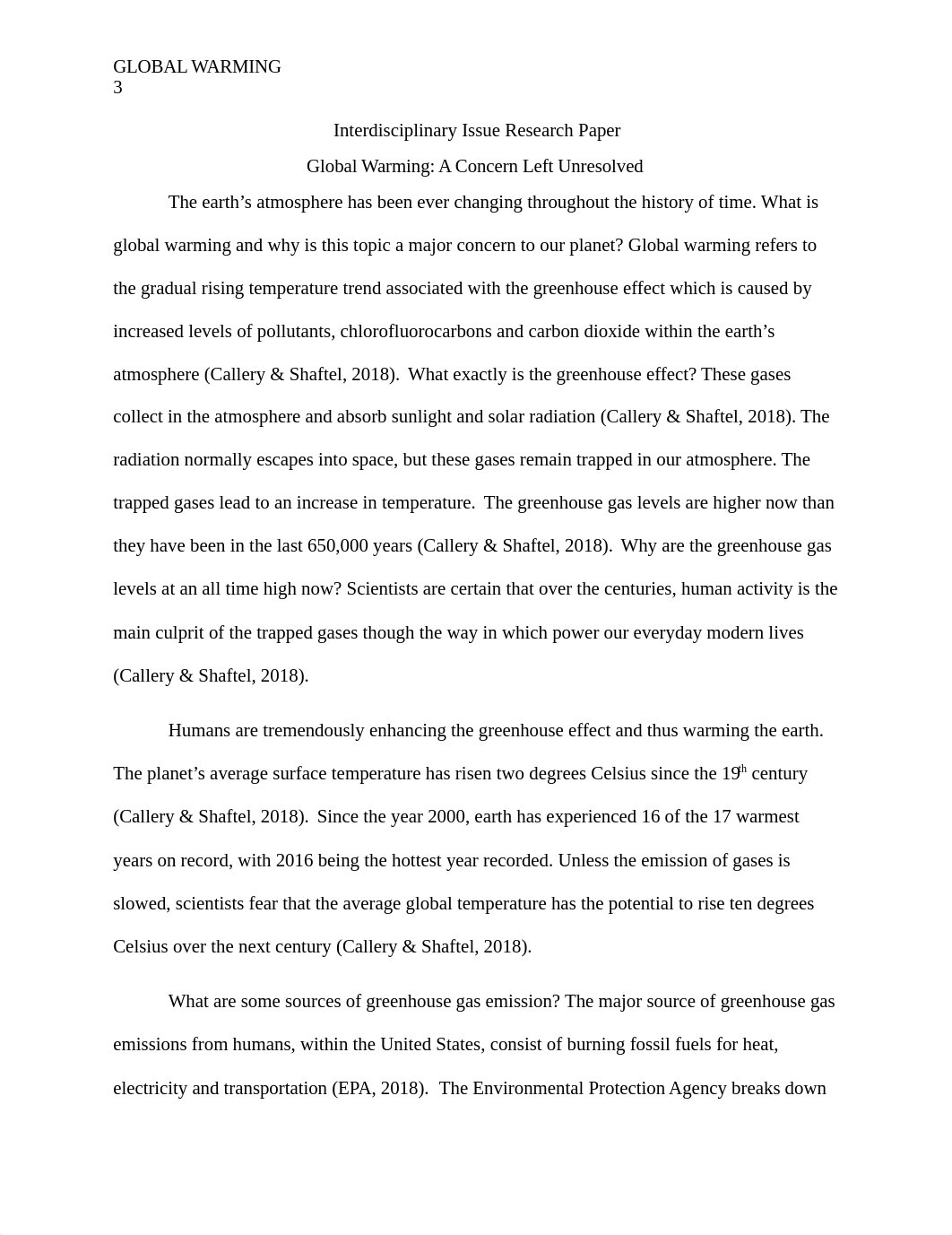 Interdisciplinary Issue Research Paper.docx_d5o256w485c_page3