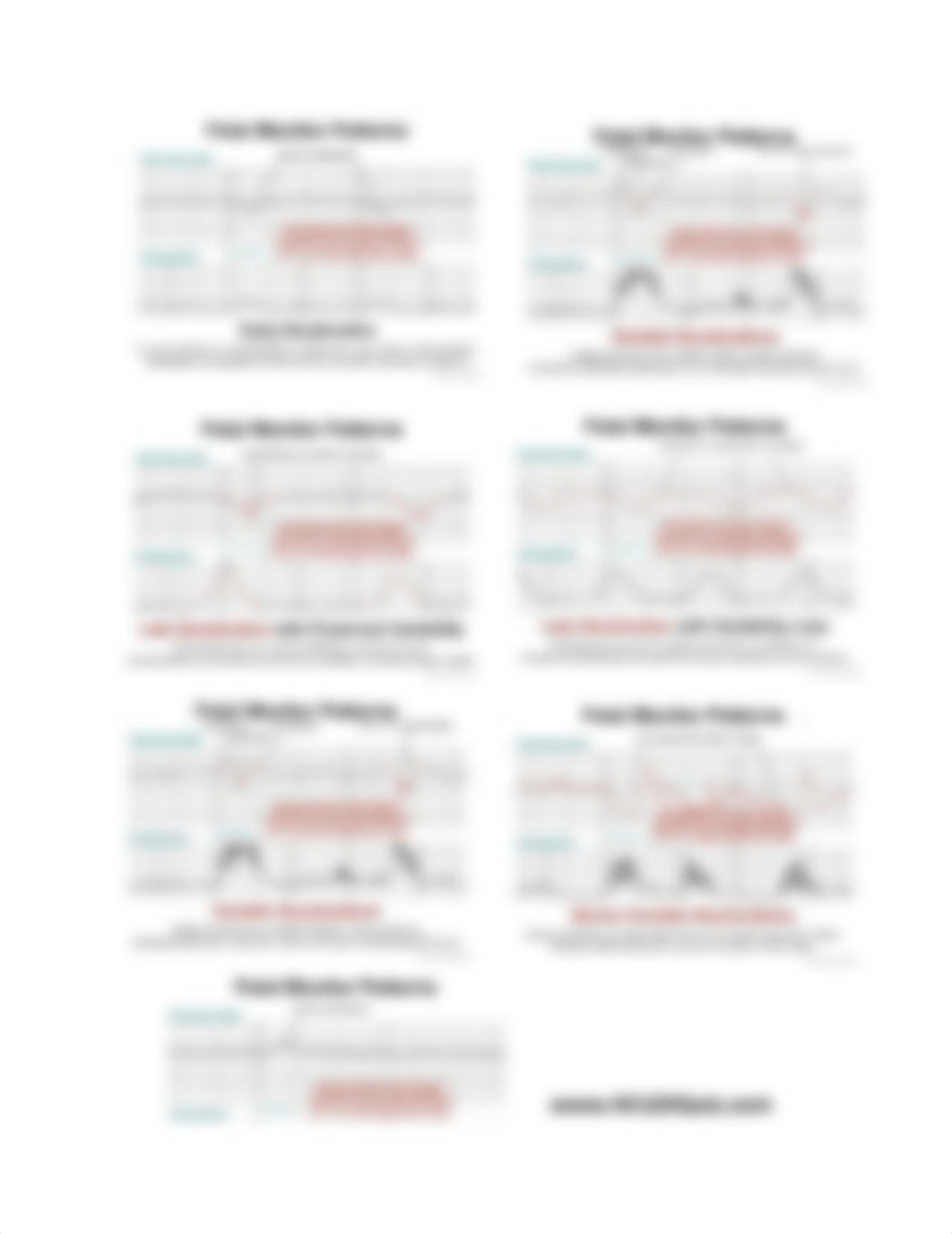 Interpretation of the Electronic Fetal Heart Rate During Labor.docx_d5o5sbbzqyx_page2