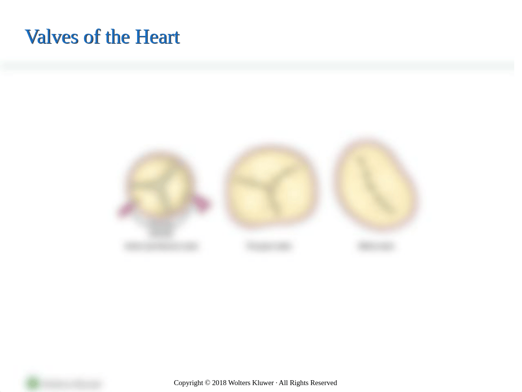 PPT_Chapter28.ppt_d5od50k2jy7_page3