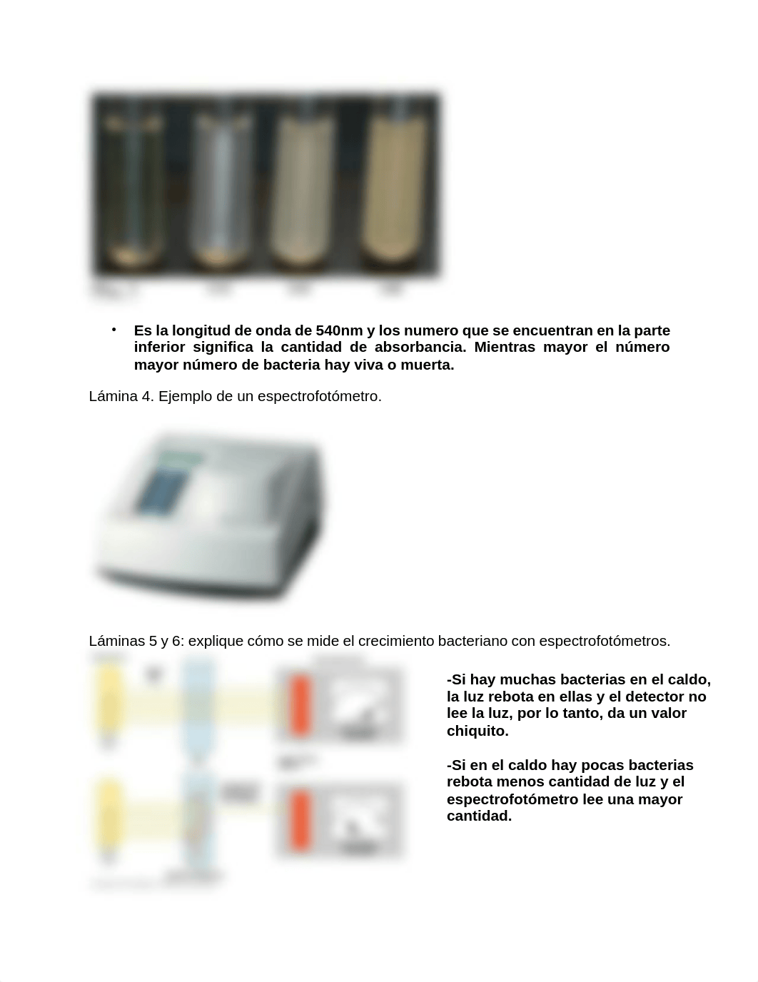 Repaso Micro- Examen 2.pdf_d5oelrmdrb5_page2