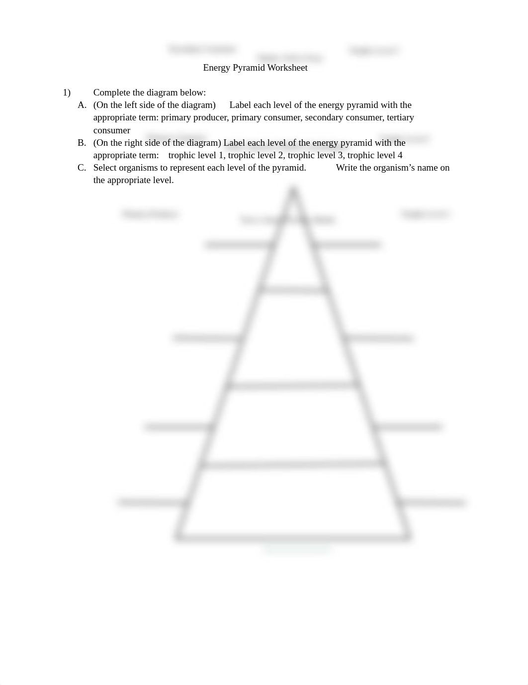 Energy_Pyramid_Worksheet_-_Ilona_Waters_d5ogfg8rmyu_page1