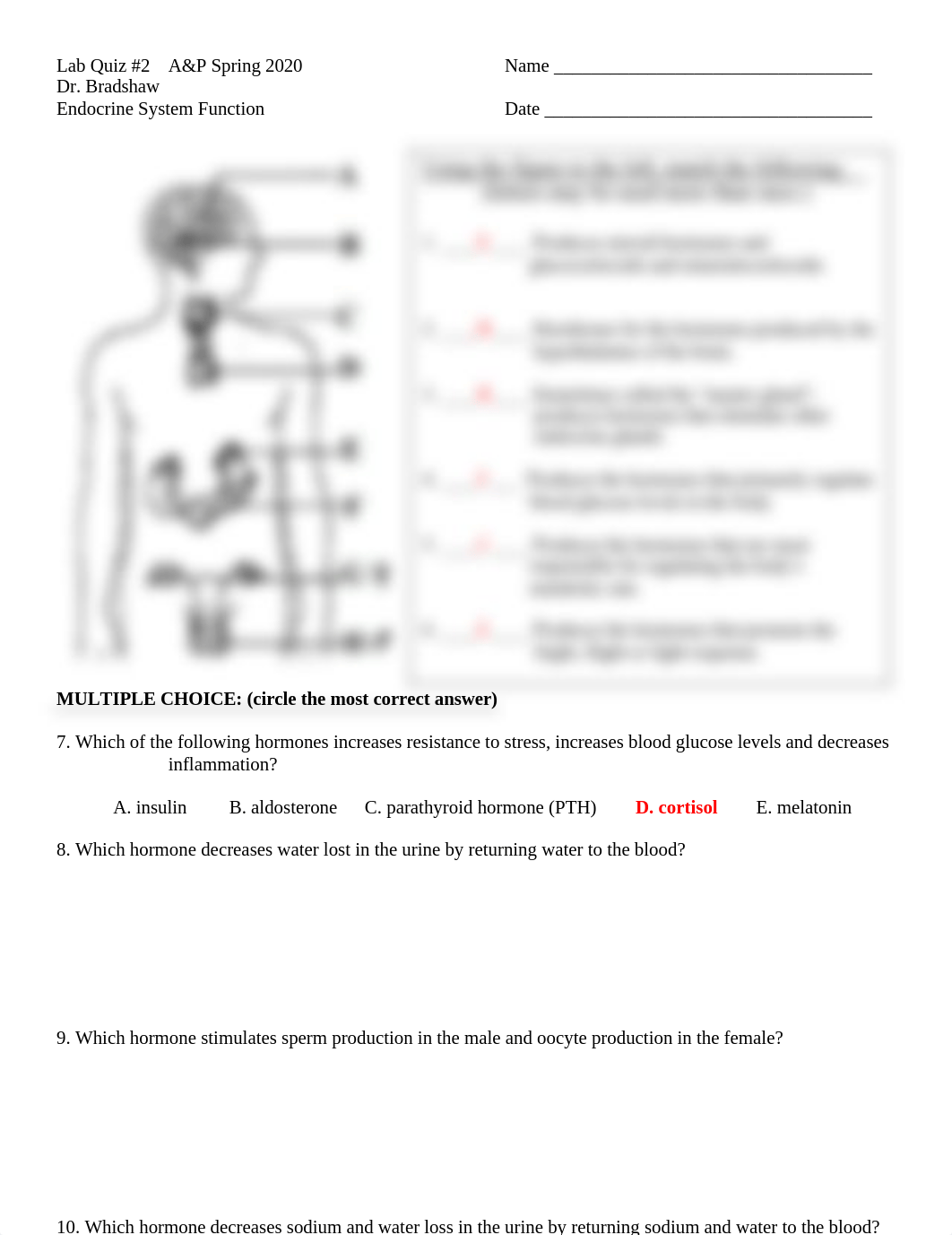 Lab Quiz #2 Endocrine System Function 2019 - ANSWERS.docx_d5omer7zu82_page1