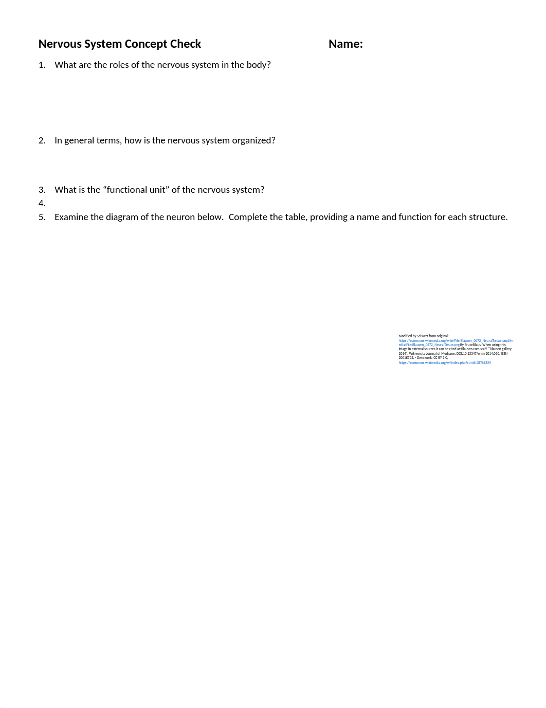Nervous System Concept Check 2020.docx_d5on4zjb1pp_page1
