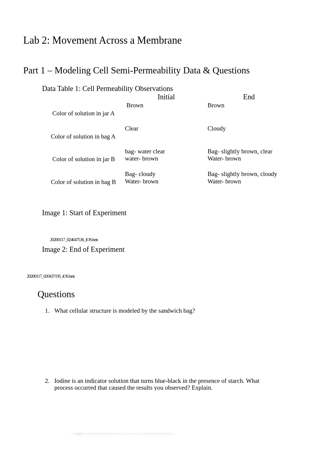 Lab 2 Movement Across a Membrane Worksheet_JennaBlumenschein.docx_d5onoy7bmfy_page1