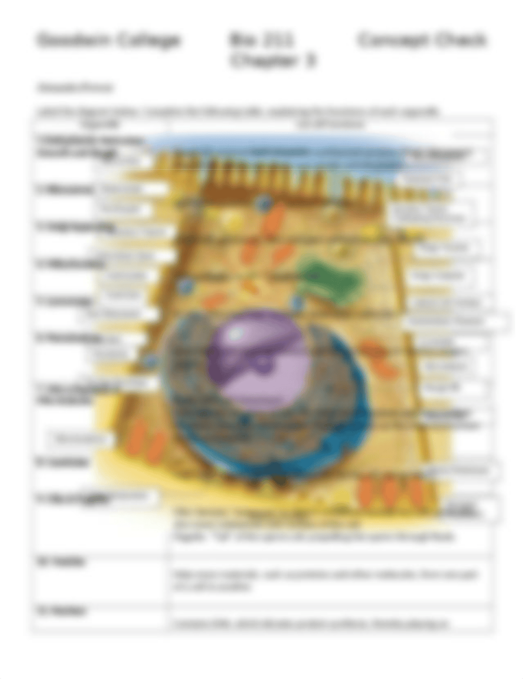 Chapter 3 Concept Check BIO211 AP.docx_d5oszvop37y_page1