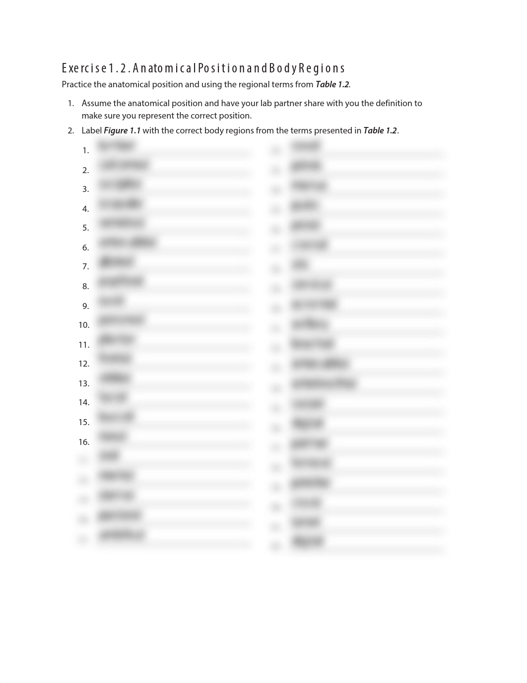Exercise 1.2 Anatomical Position and Body Regions (19).pdf_d5p0x1to4im_page1