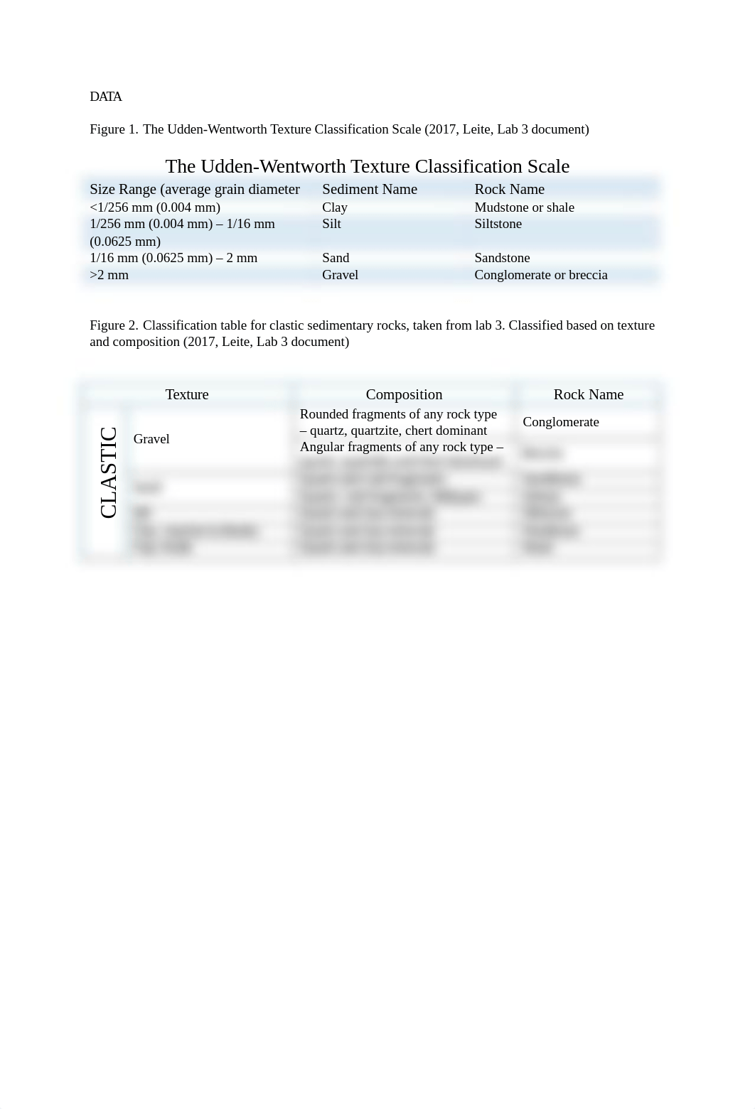 GEOS_234_ID clastic sedimentary rocks LAB.pdf.docx_d5p1m6465d4_page2