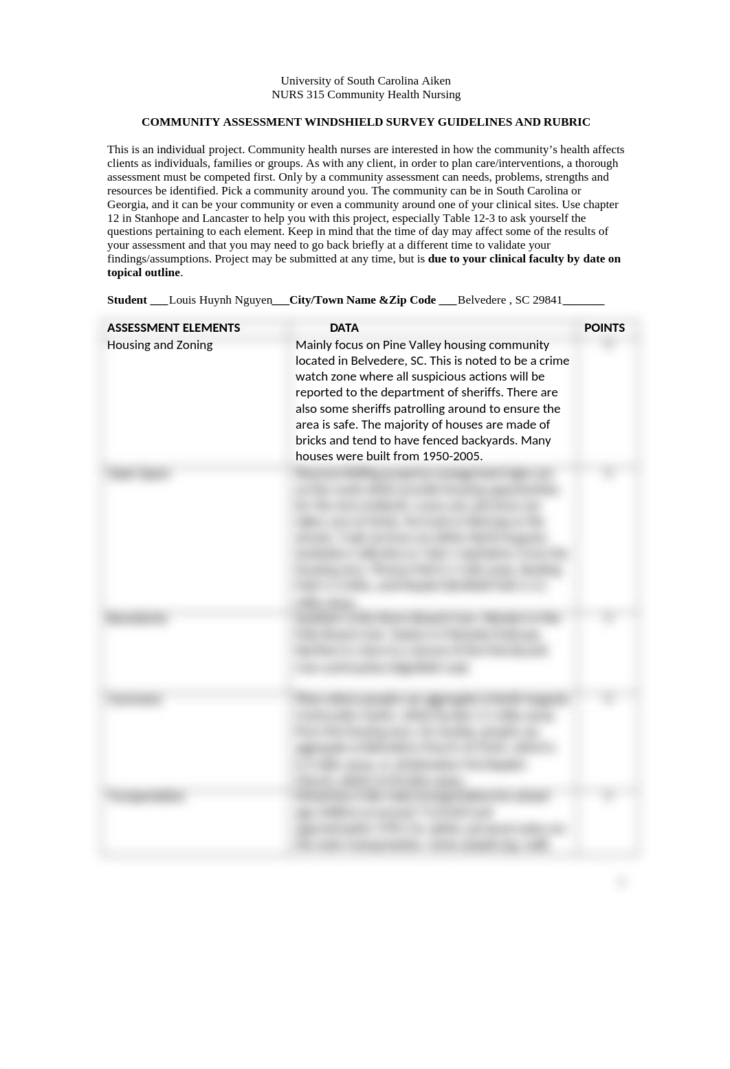 Louis Nguyen - Windshield Survey.docx_d5pblhcq95g_page1