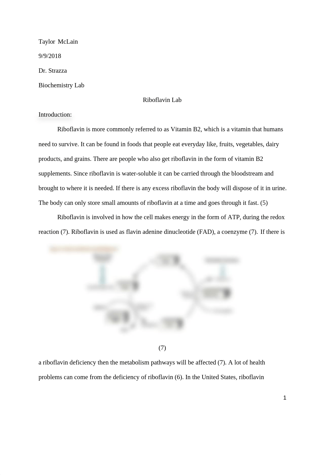 Riboflavin Lab Report_d5pbo5ajsqn_page1