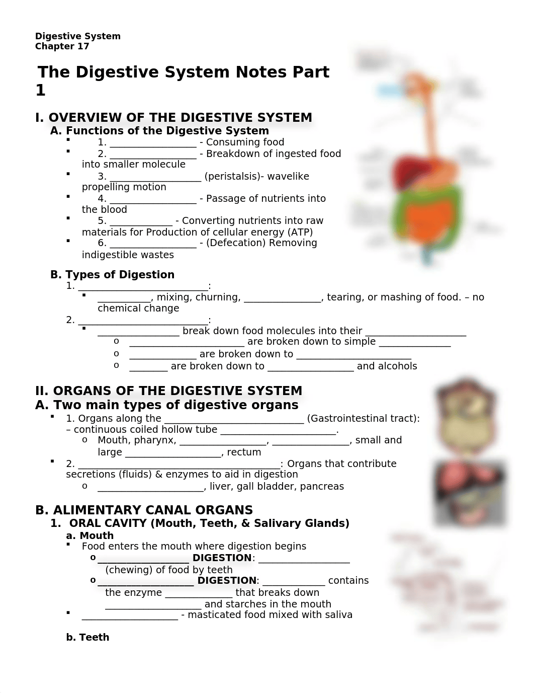 Anatomy Chapter 17 Digestive System Note blanks.docx_d5pfn1dgsqb_page1