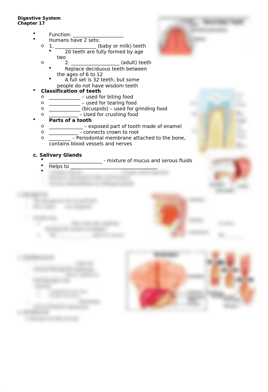 Anatomy Chapter 17 Digestive System Note blanks.docx_d5pfn1dgsqb_page2