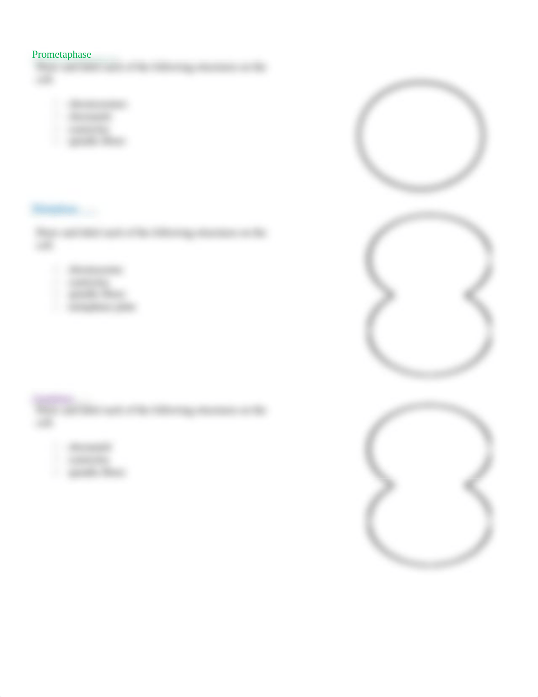 How Cells Divide - Part 2 Mitosis Sketches Template - Mitosis PBS NOVA Animation 2022.pdf_d5ptmpey2by_page2