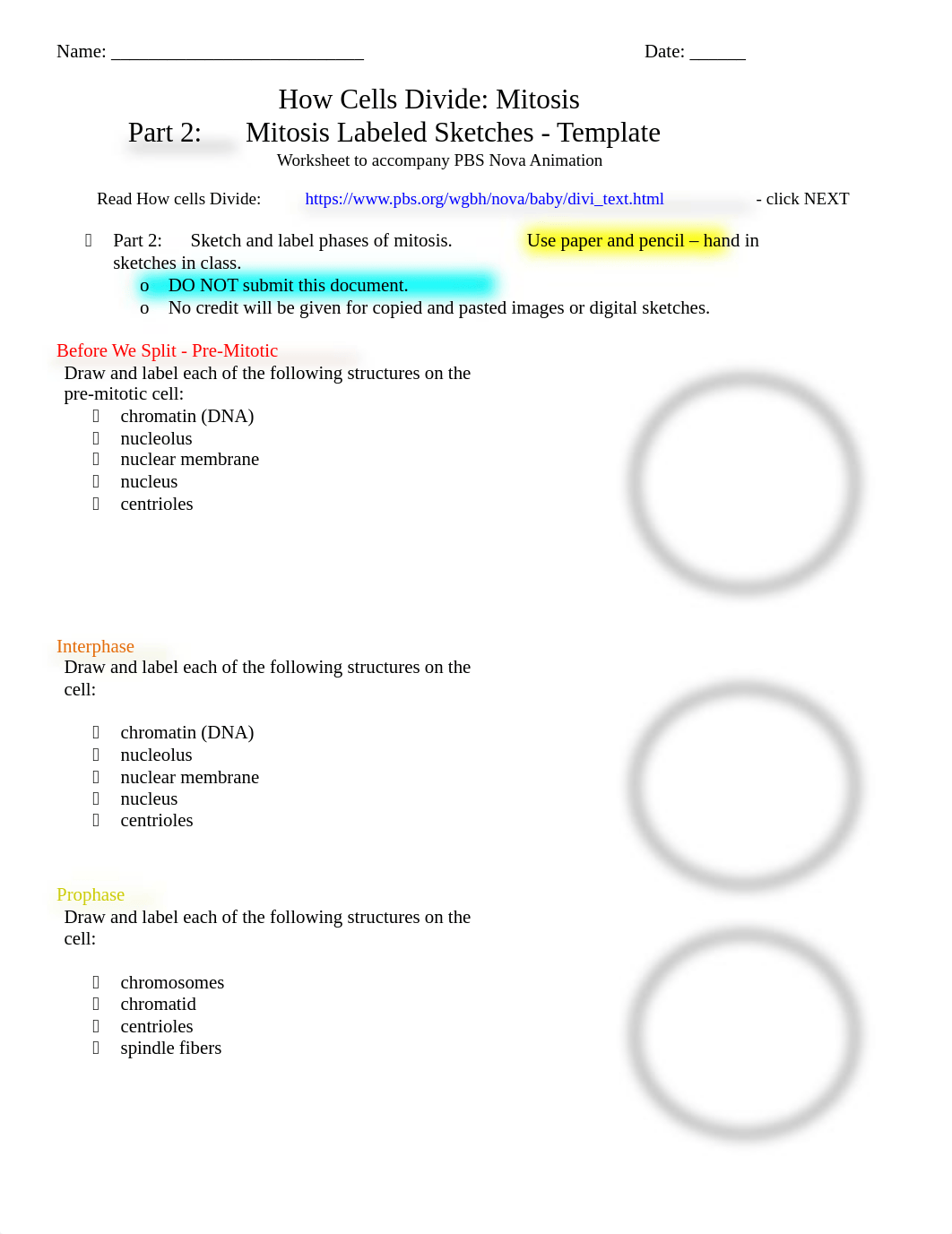 How Cells Divide - Part 2 Mitosis Sketches Template - Mitosis PBS NOVA Animation 2022.pdf_d5ptmpey2by_page1