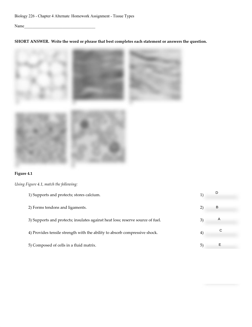 Bio_226_-_Alternate_HW_Assignment_for_Chapter_4_no_answers_-_Fall_2020.pdf_d5py6y6hpp7_page1