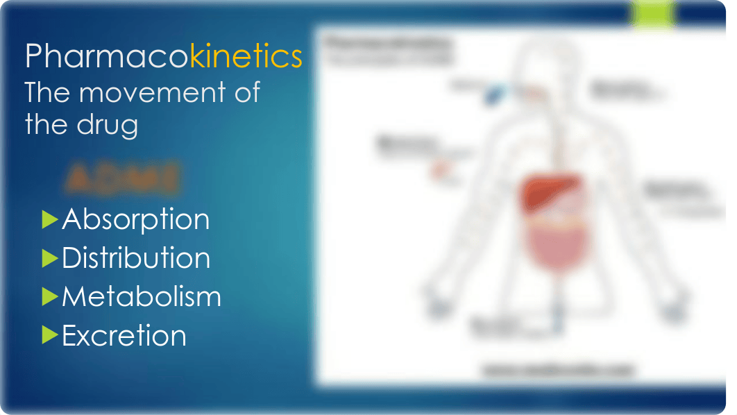 Medication Administration.pdf_d5py8ua3b1e_page4