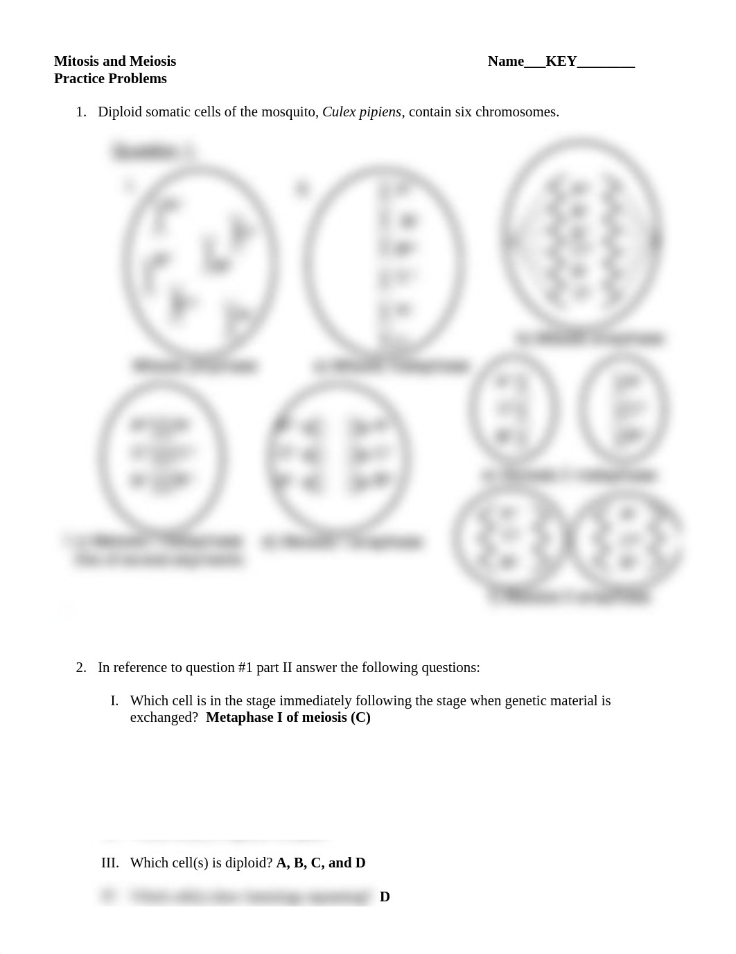 Cell Division_problem set_KEY.docx_d5q0g4f4eo7_page1