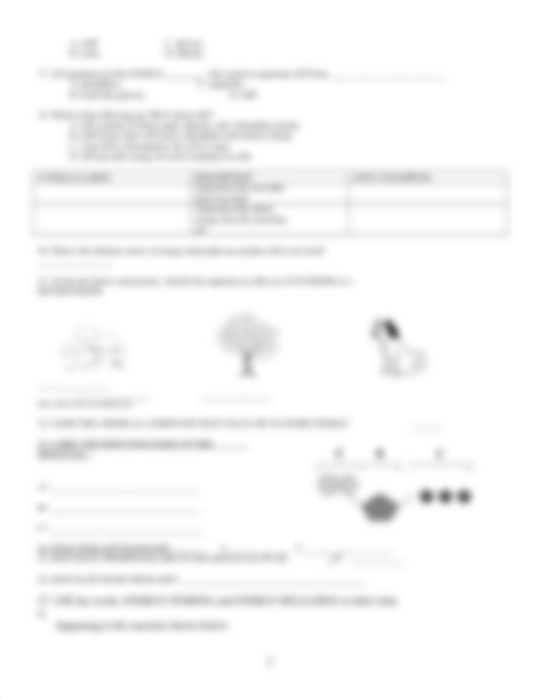 photosynthesis review worksheet 11-11-13.doc_d5q0u5ec699_page2