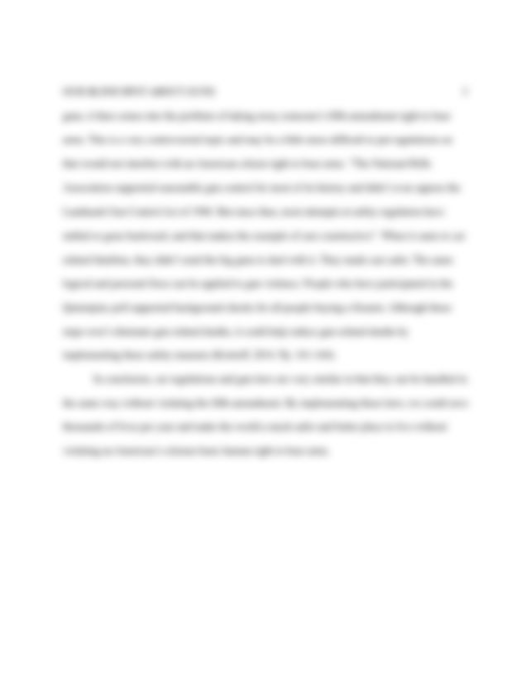 OUR BLIND SPOT ABOUT GUNS    essay       2.docx_d5q6htbc8j5_page2