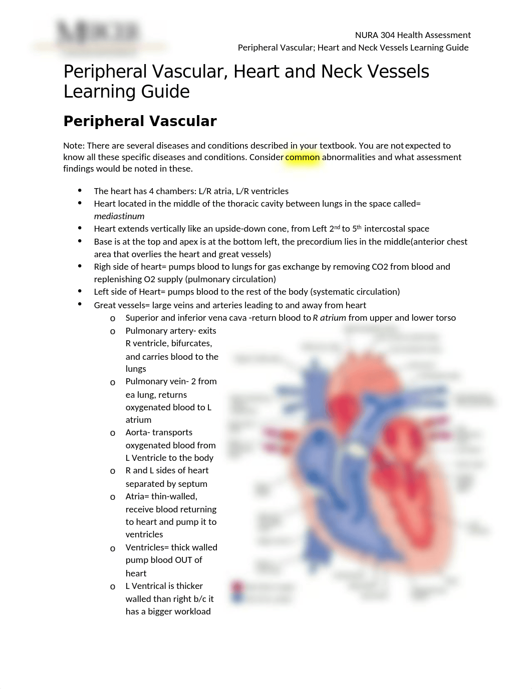 Module 4B study guide test 3.docx_d5qa9li52z2_page1