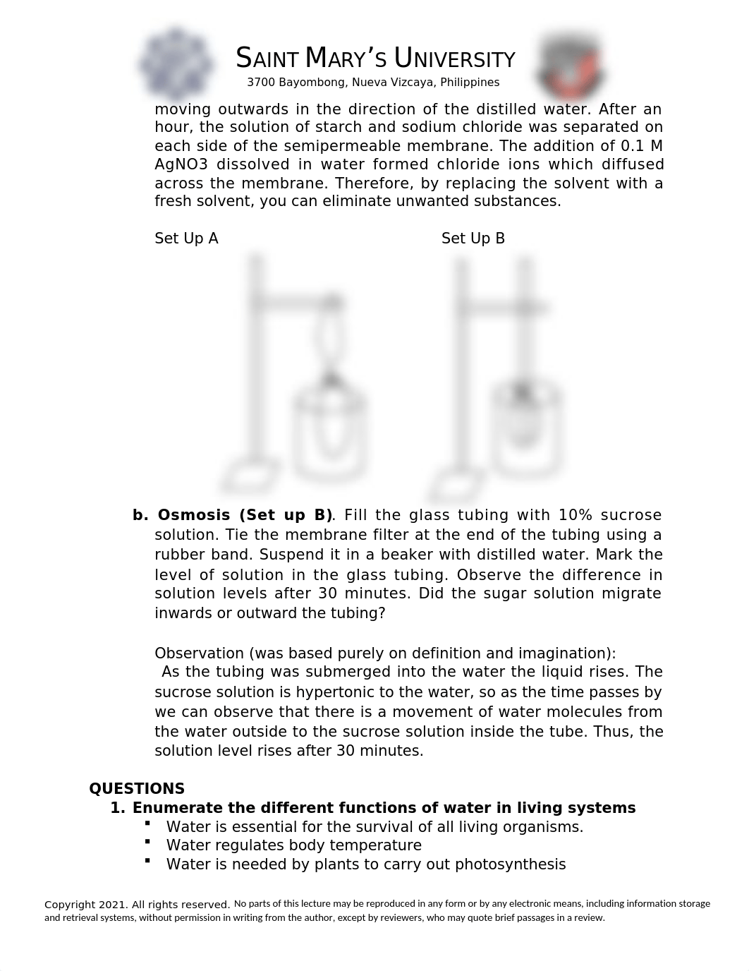 LAB_1 WATER.docx_d5qeh3ncklj_page3