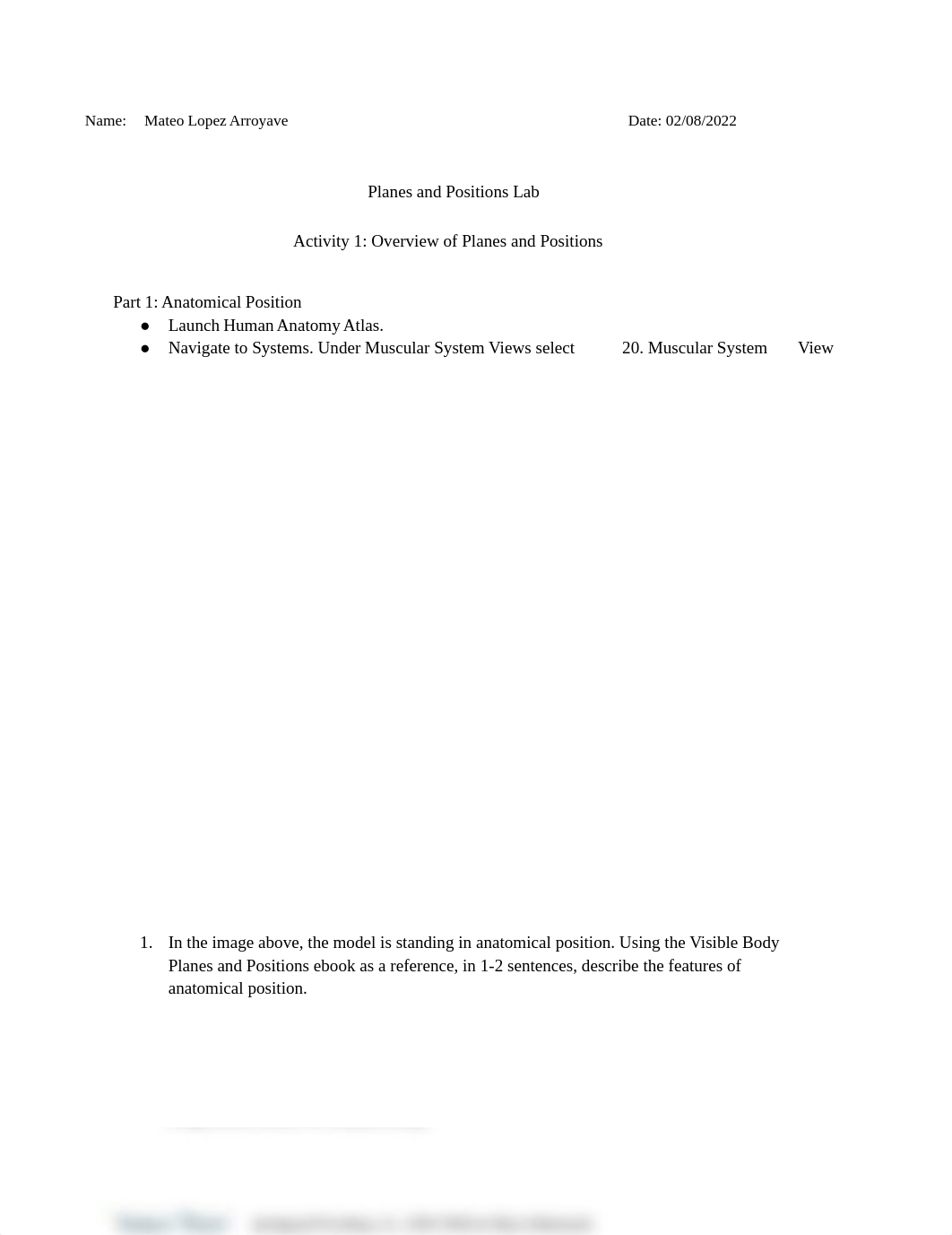 Lab#1 Planes and positions.docx_d5qgwd6z311_page1