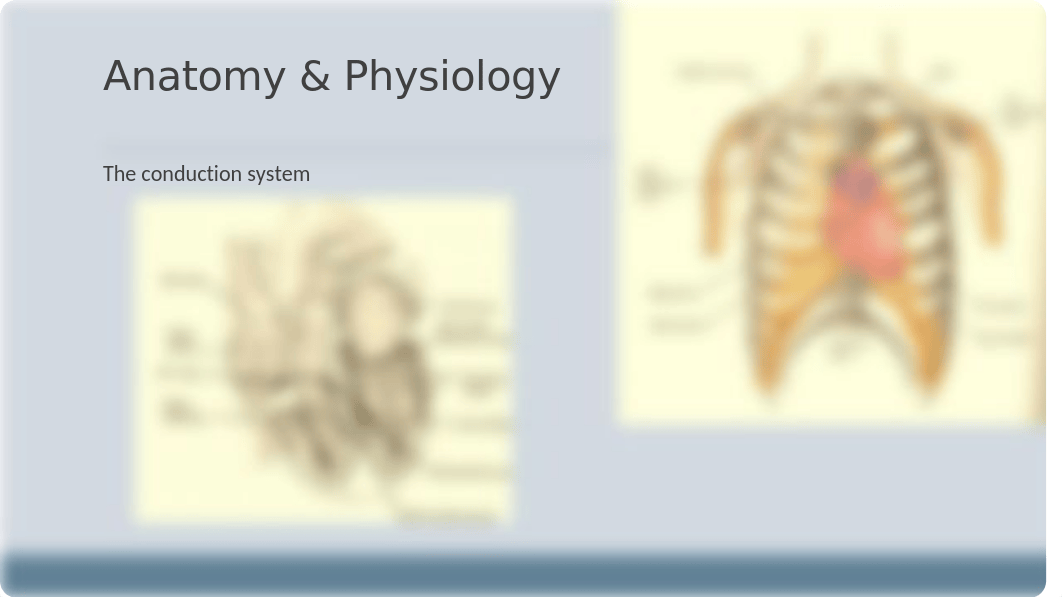 Cardiac PPT(2).pptx_d5qqfqhenag_page3