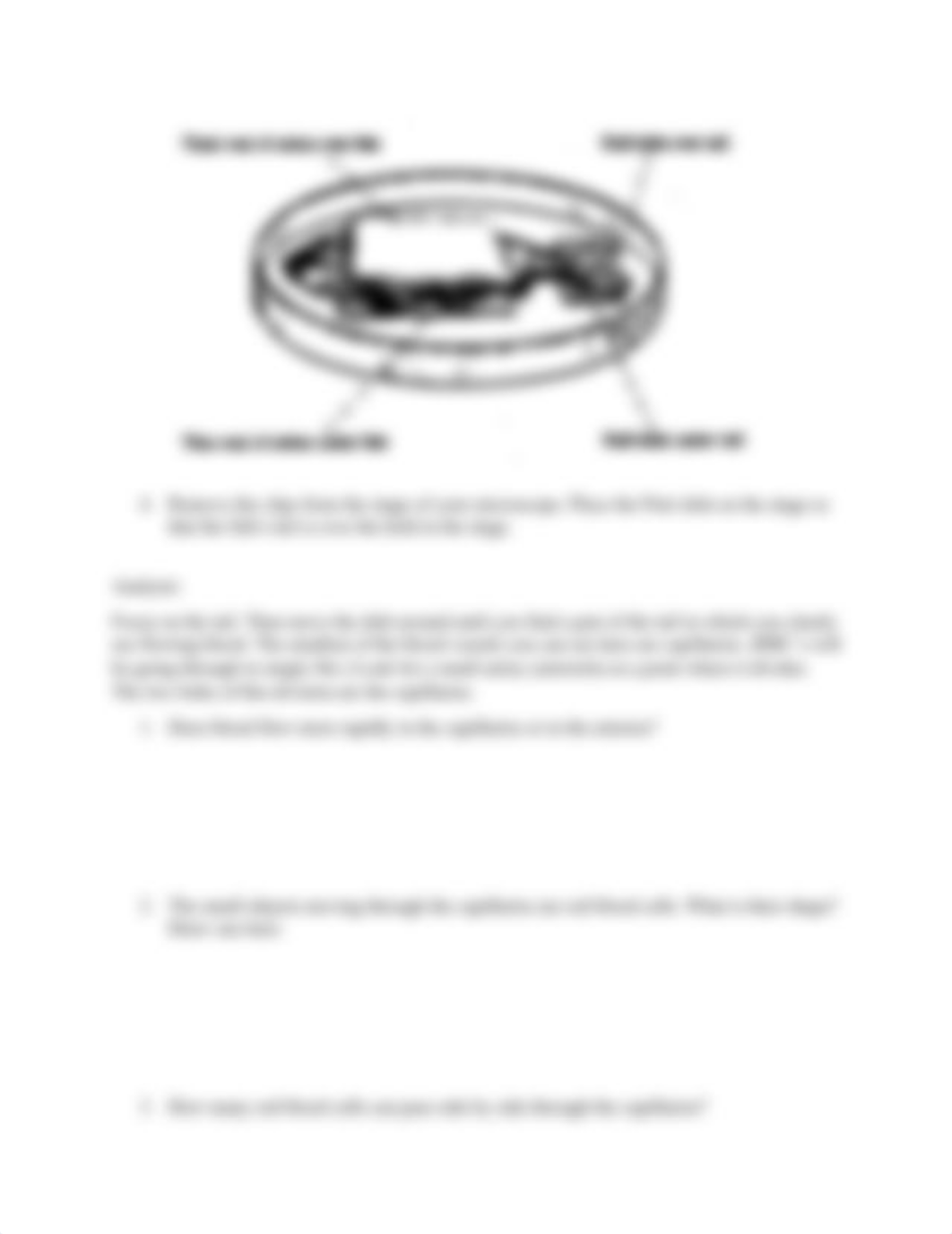 Goldfish Tail Circulation.pdf_d5qrp4gqmmc_page2