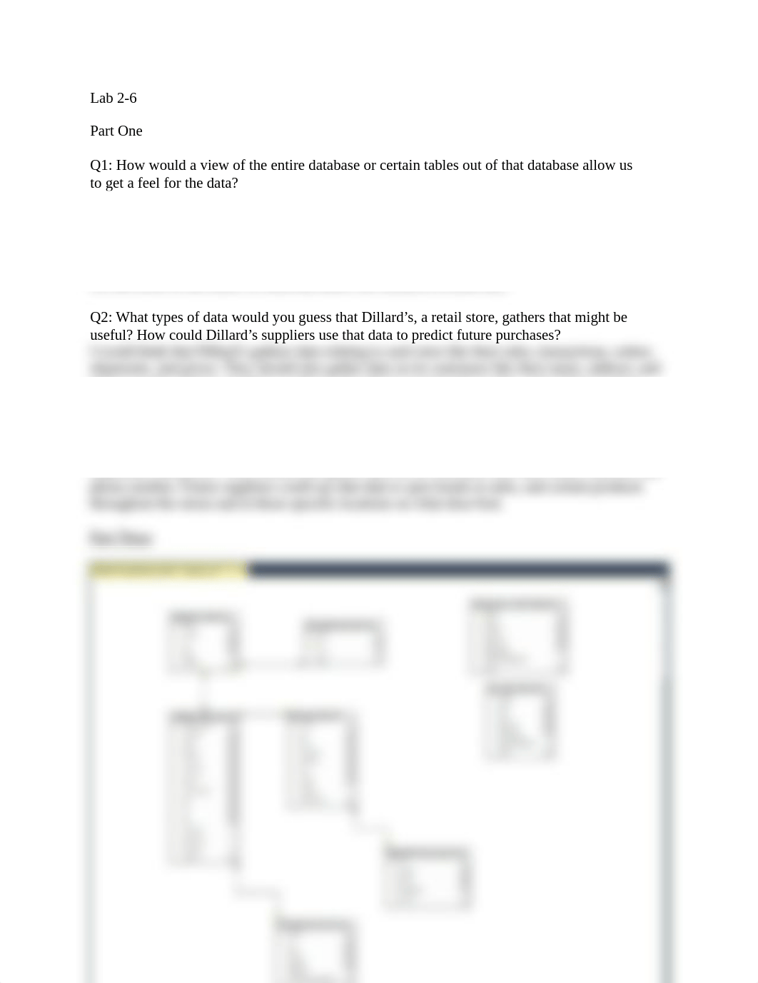 Lab 2-6 Comprehensive Case-Dillard's Store Data .docx_d5qss2f7blu_page1