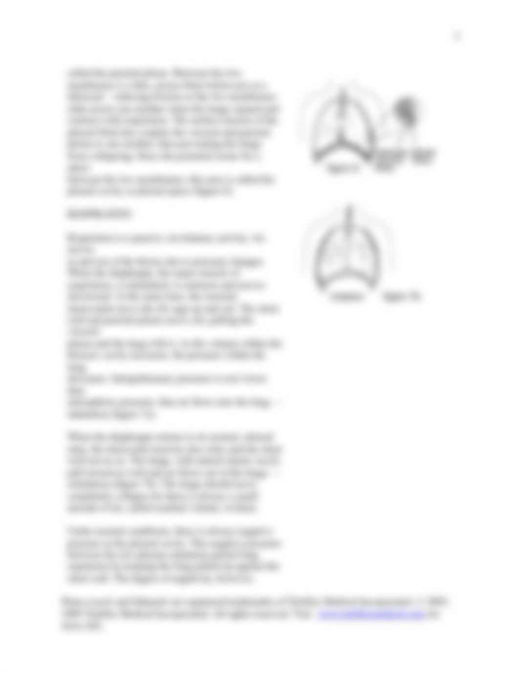 Chest Tube Overview.docx_d5qua0aibh8_page3