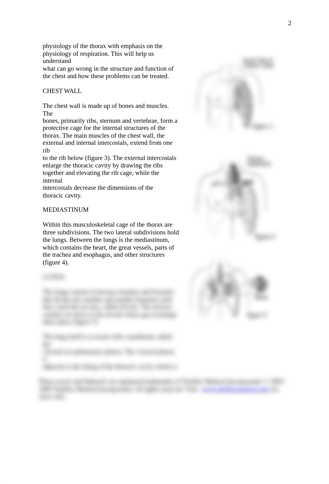 Chest Tube Overview.docx_d5qua0aibh8_page2