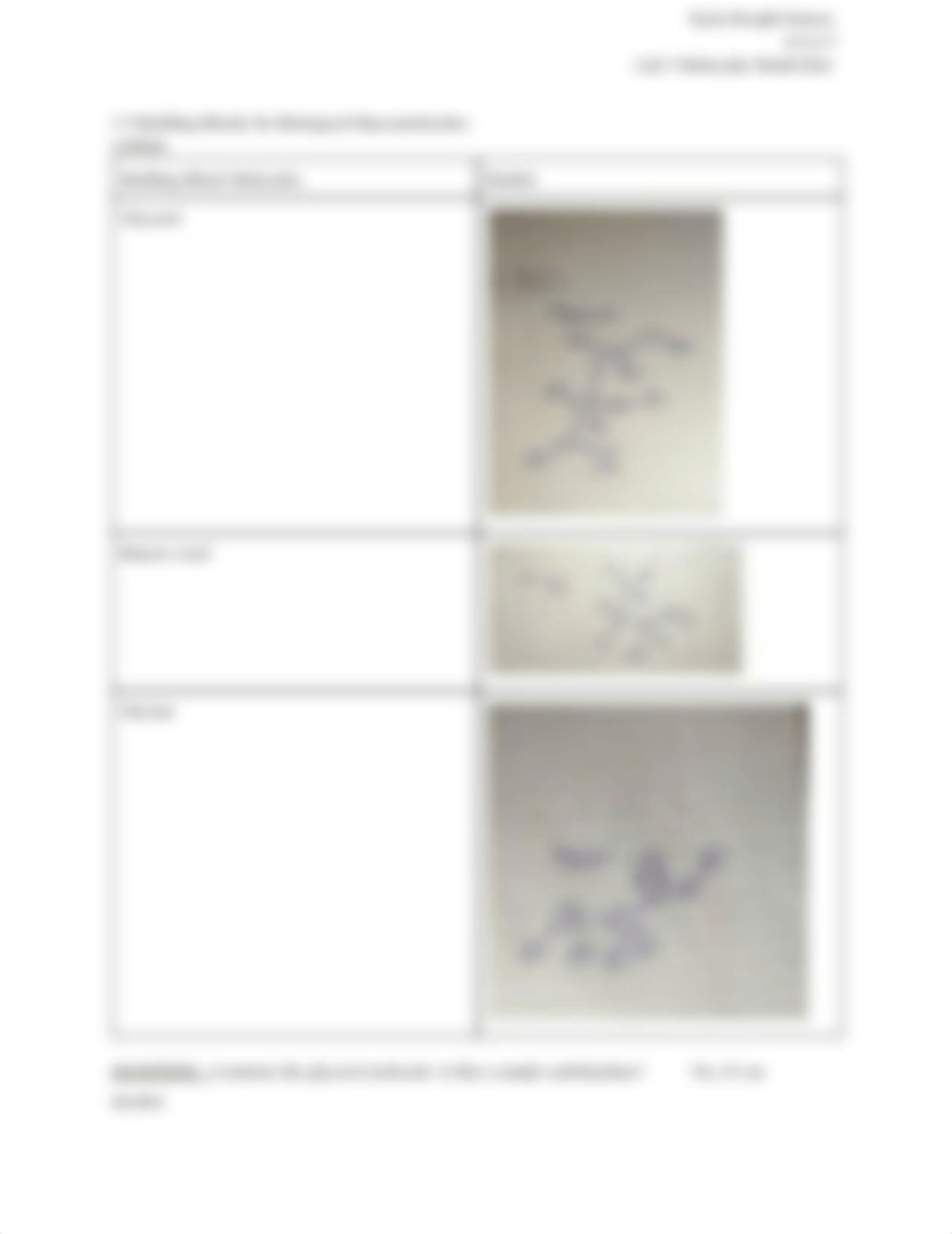 Lab 3 Molecular Model Kits.pdf_d5qvgkato2x_page5