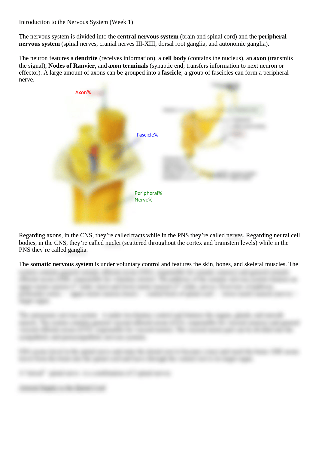 Introduction to the Nervous System.docx_d5qzwqgqbf7_page1