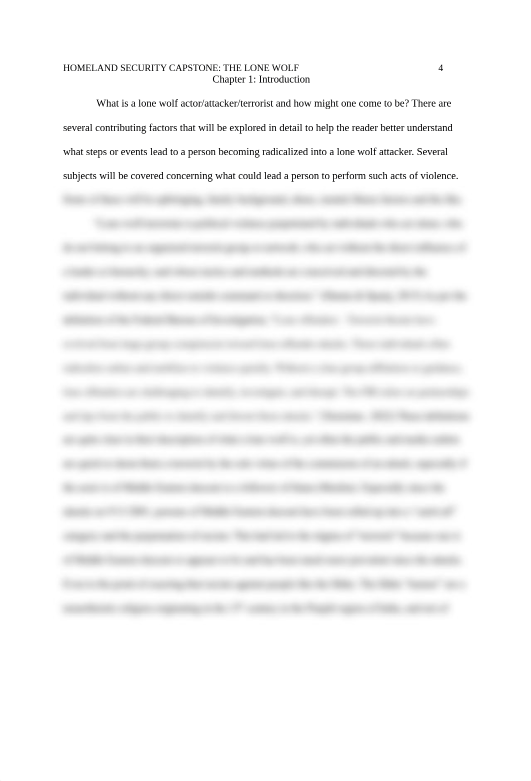 Homeland Security Capstone Paper The Lone Wolf FINAL DRAFT.docx_d5r2ietdp1u_page4