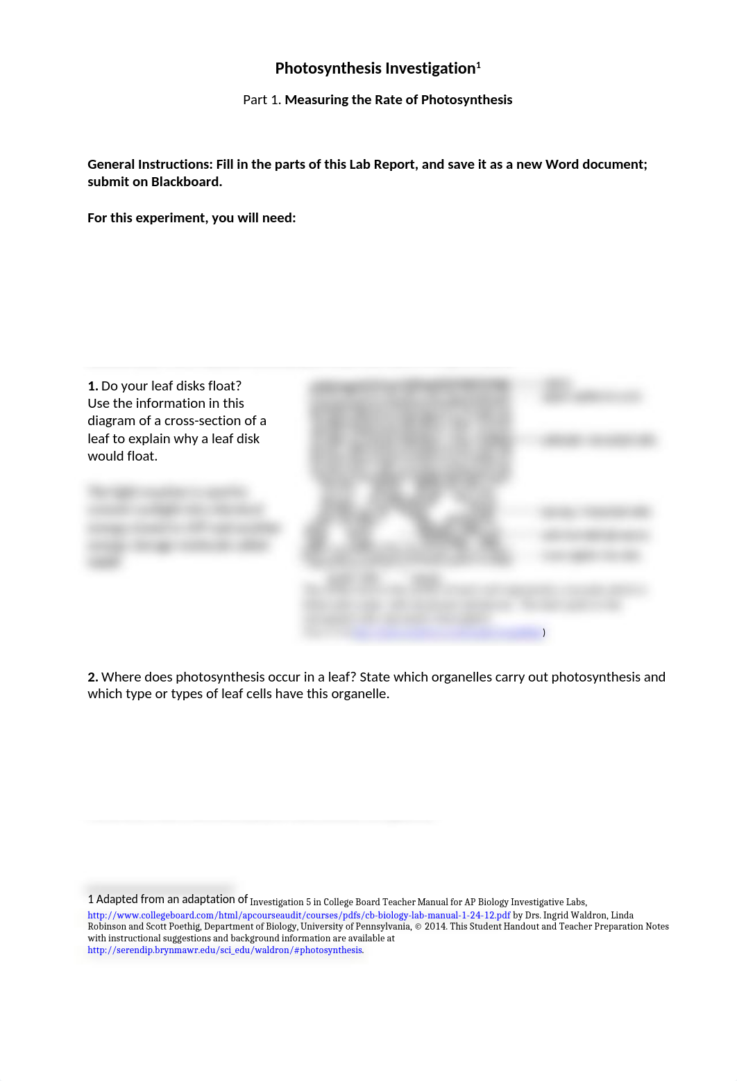 Photosynthesis Lab.docx_d5rc4ygovh3_page1