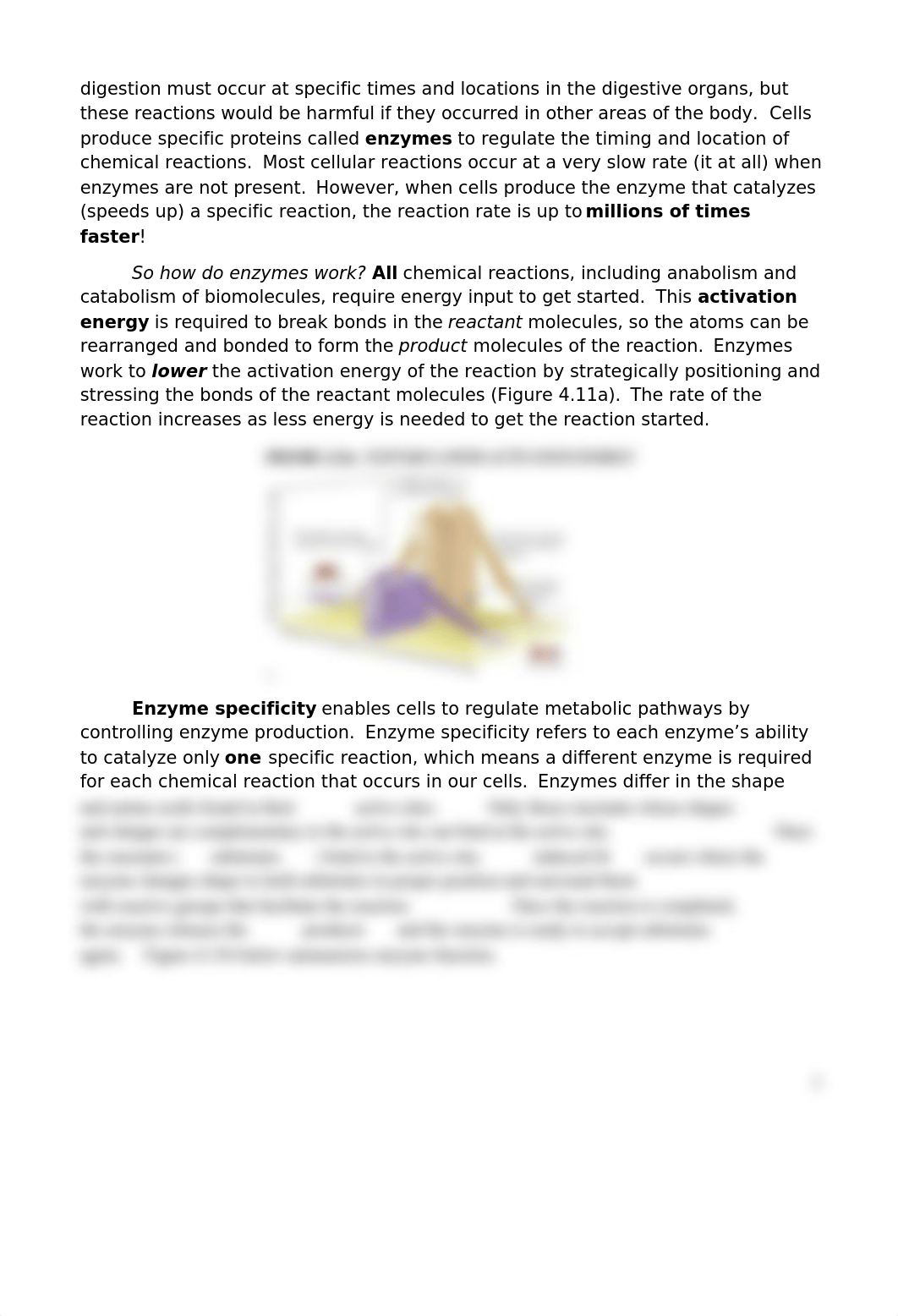 BIOL 1041_ENZYME FUNCTION.docx_d5rcnrf7ii4_page2