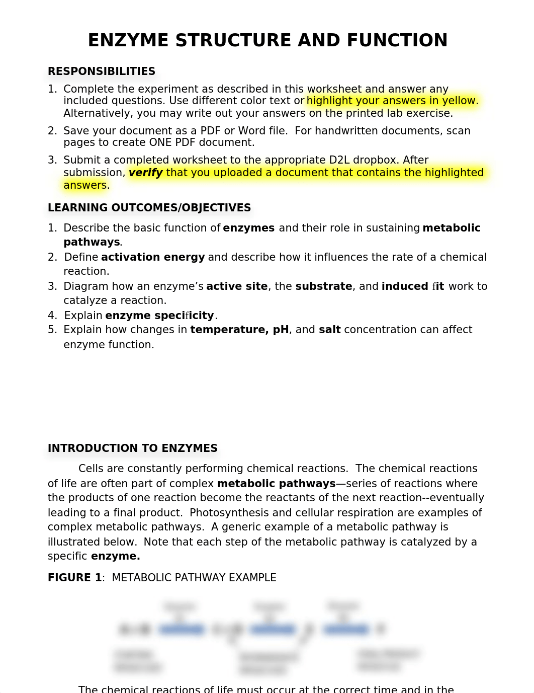 BIOL 1041_ENZYME FUNCTION.docx_d5rcnrf7ii4_page1