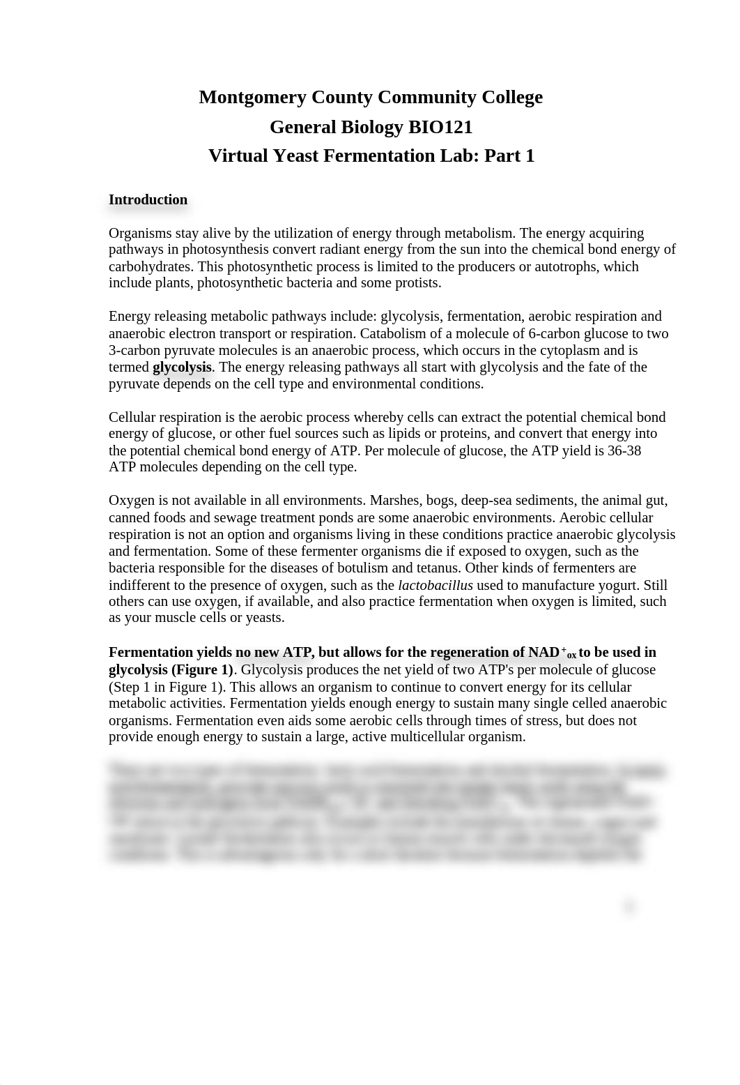 Virtual Yeast Fermentation Lab Part 1.docx_d5rguwulzzj_page1