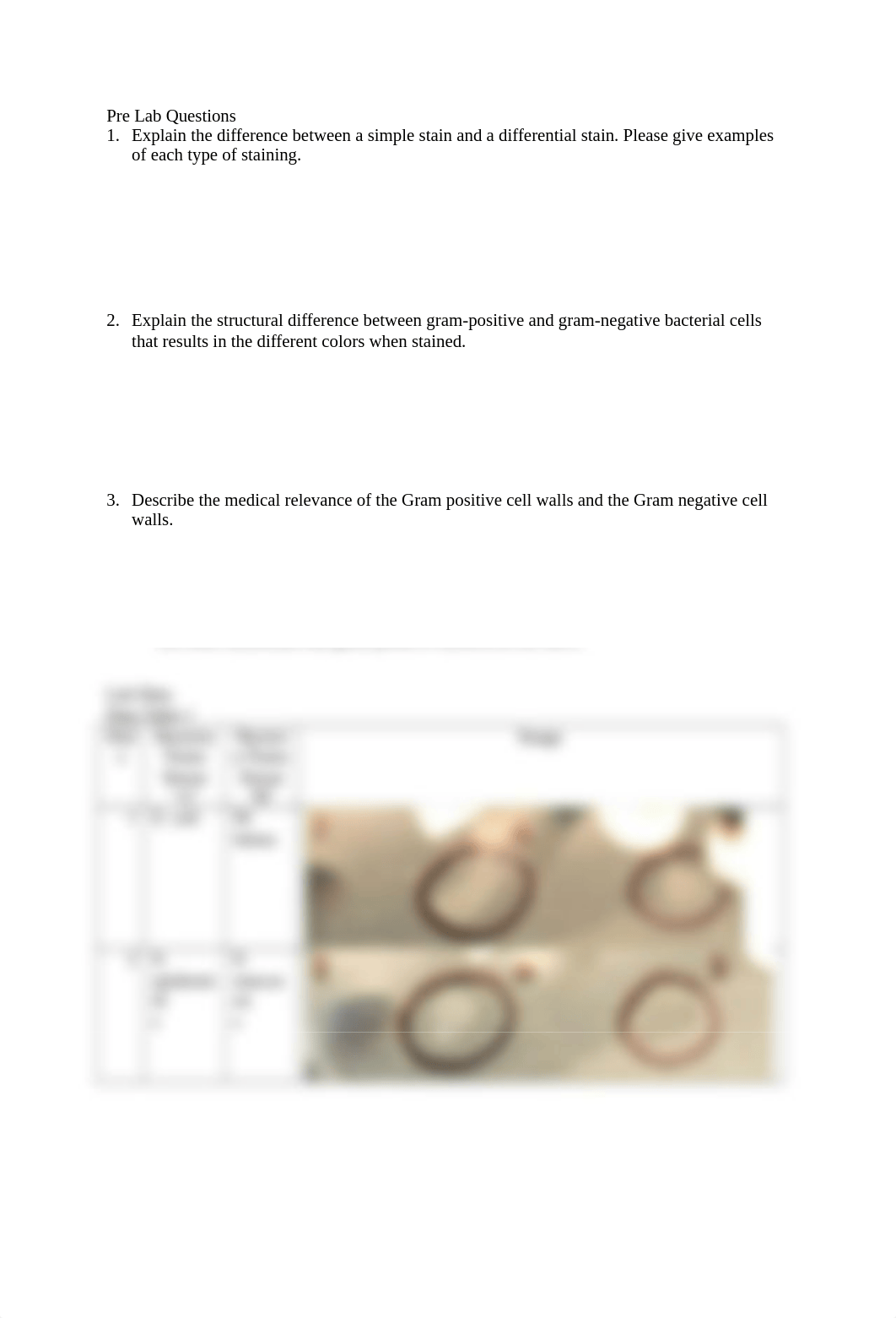 Simple_Differential Staining.docx_d5rhtuxs69f_page1