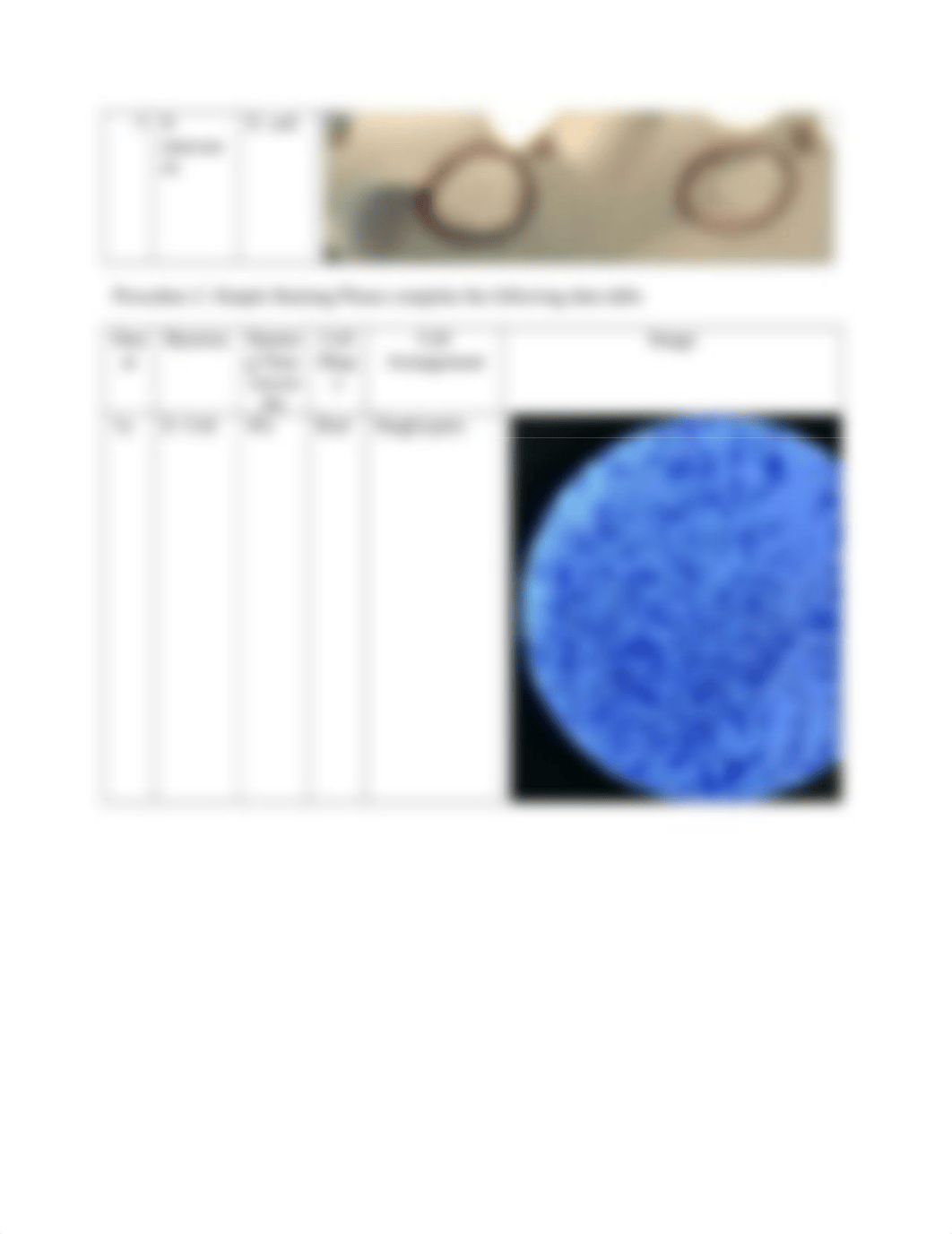 Simple_Differential Staining.docx_d5rhtuxs69f_page2