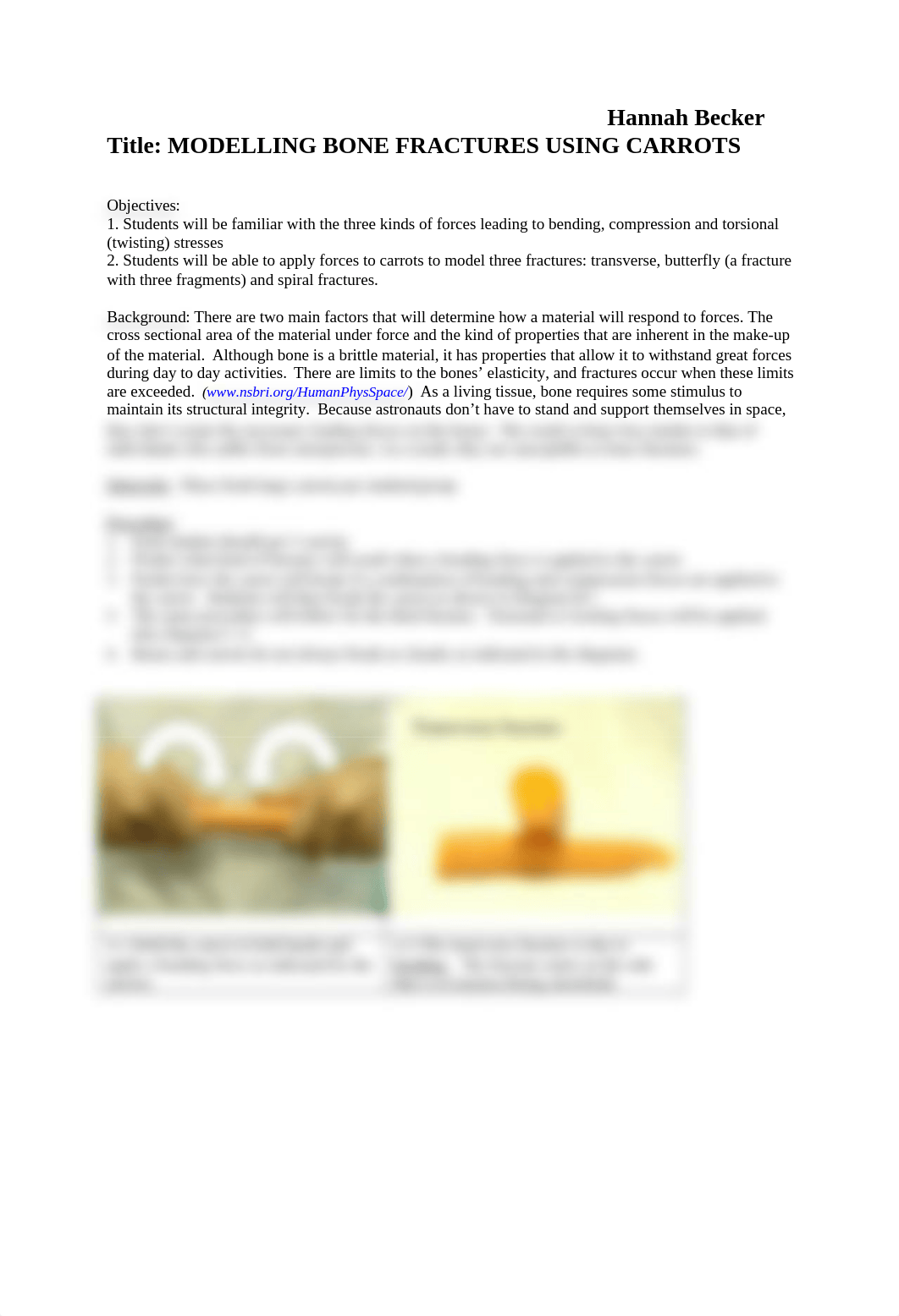 ModelingBoneFracturesusingCarrots (1).docx_d5rkqrczdje_page1